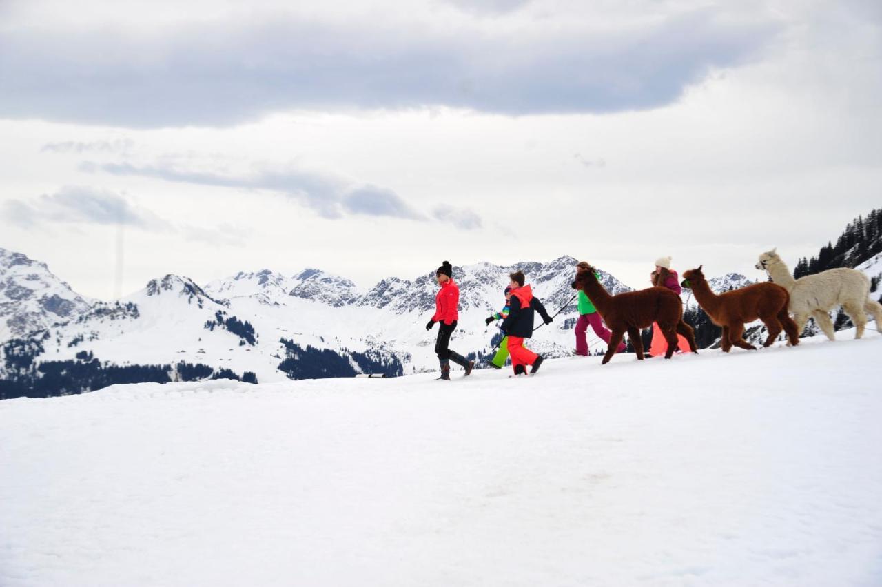 Alpenresort Walsertal Damuels Kültér fotó